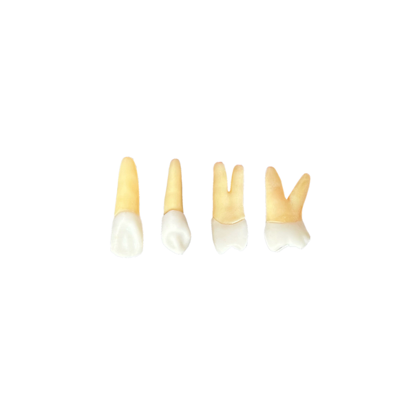KIT ENDODONTIA SÃO JUDAS - SANTOS (10465)