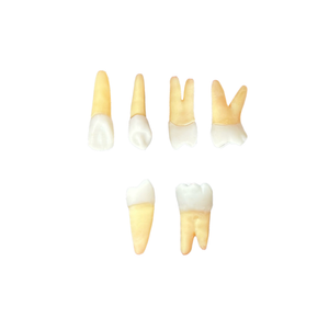 KIT ENDODONTIA ESTÁCIO SP (10466)