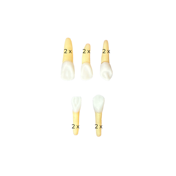 KIT ENDO UNIVASSOURAS (10468)