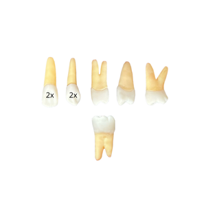 KIT ENDODONTIA UNA BOM DESPACHO (10469)