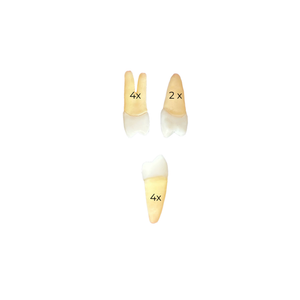 KIT ENDO II UNIVASSOURAS (10470)