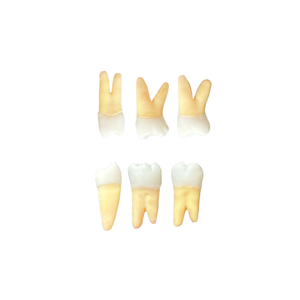 KIT ENDODONTIA FACUNICAMPS (10471)