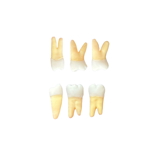 KIT ENDODONTIA FACUNICAMPS (10471)