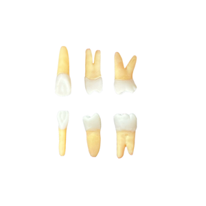 Kit de dentes endo Orais - ESTÁCIO DF (10486)