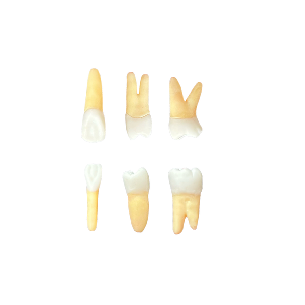 Kit de dentes endo Orais - ESTÁCIO DF (10486)