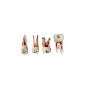 KIT DE ENDODONTIA FACULDADE ARNALDO (10475)