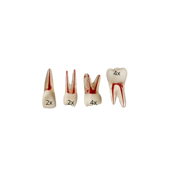 KIT DE ENDODONTIA FACULDADE ARNALDO (10475)