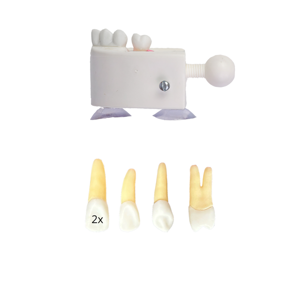 KIT ENDODONTIA FAC. CATHEDRAL (10487)