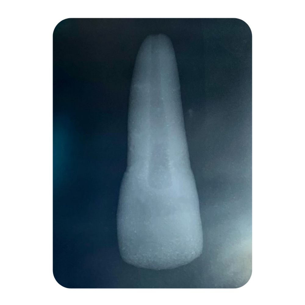 DENTE ENDO 21 RADIOPACO