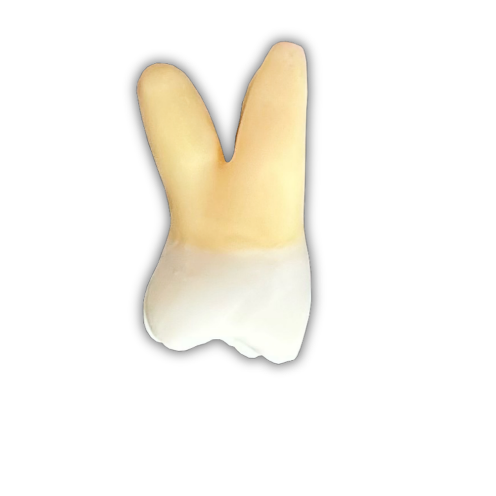 DENTE ENDO 27 RADIOPACO