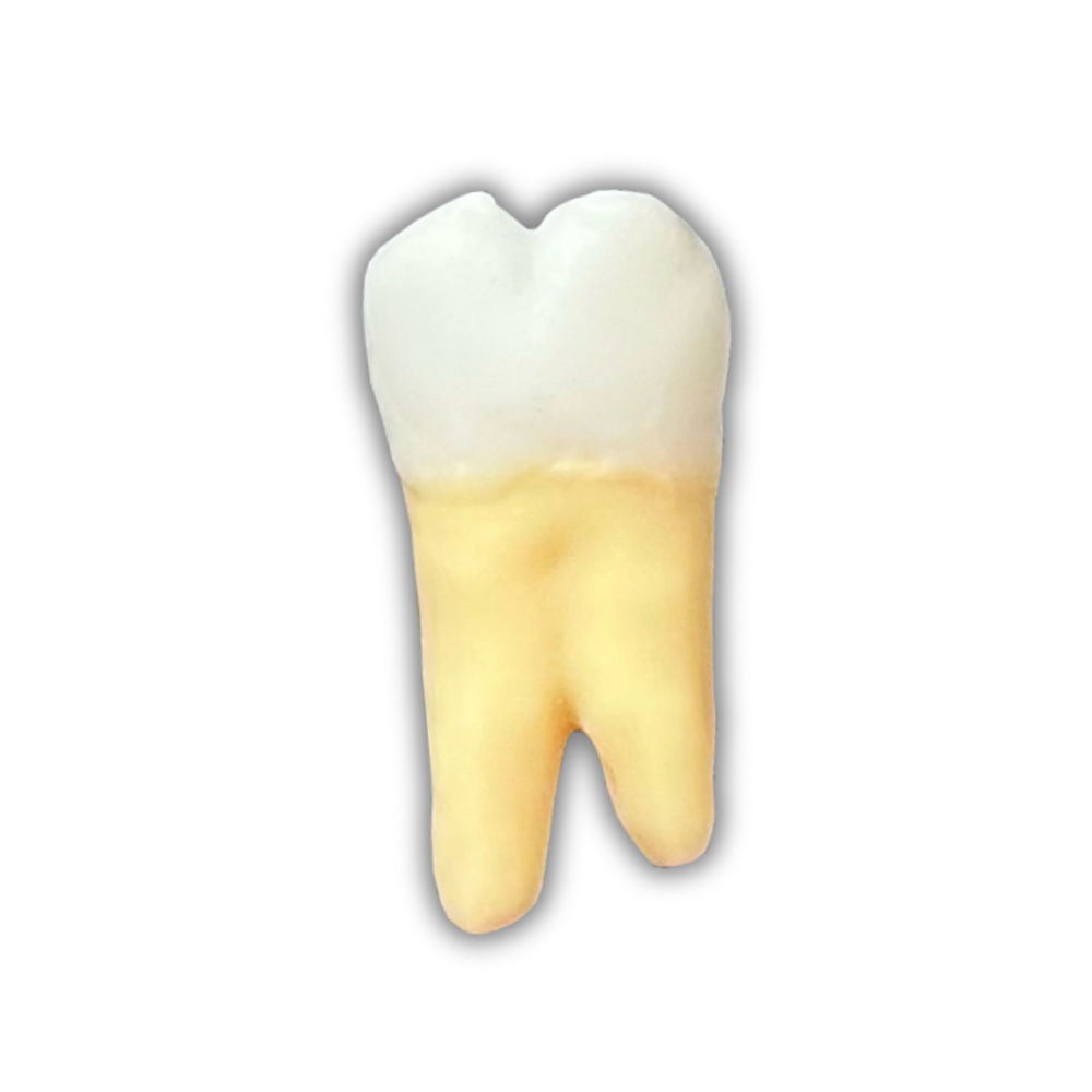 DENTE ENDO 37 RADIOPACO