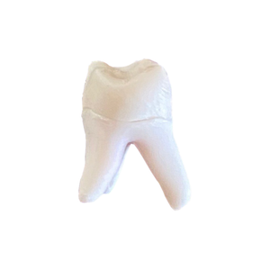 DENTE DECÍDUO 55 POLPADO RADIOPACO (10455)