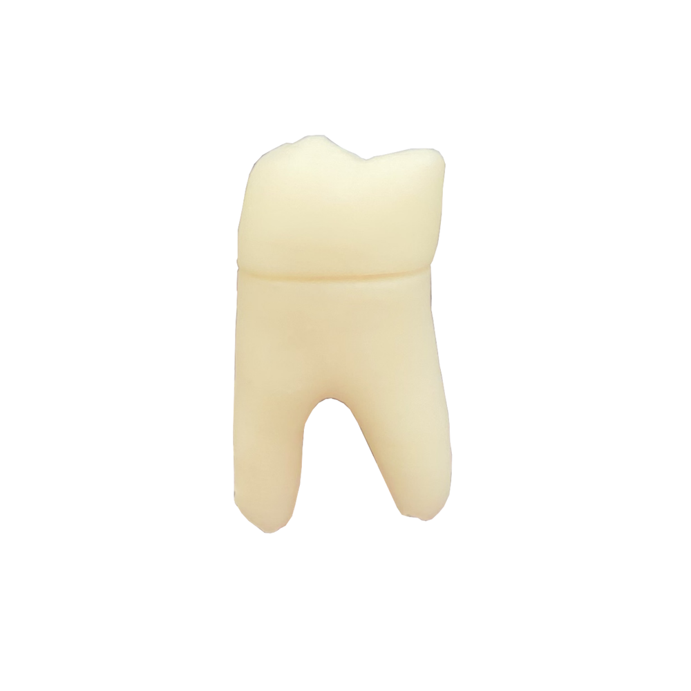 DENTE DECÍDUO 85 POLPADO RADIOPACO (10485)