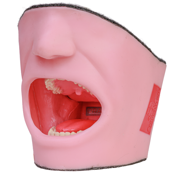 MNQ ANESTESIOLOGIA  (15000)