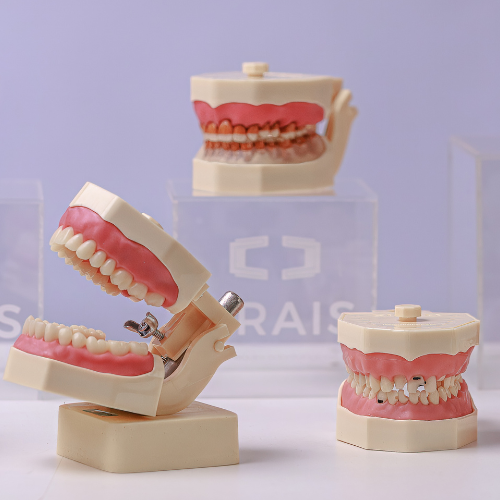 Kit Multidisciplinar Orais 2171 com manequim, dentes e gengivas