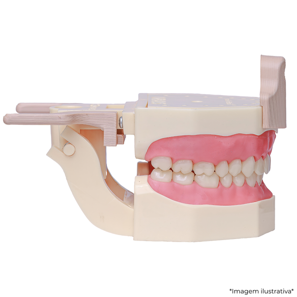 MNQ MTD 5511 COM DA (5511DA)