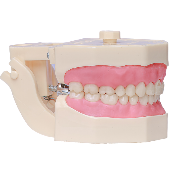 MNQ MATERIAIS DENTARIOS 201   (201)