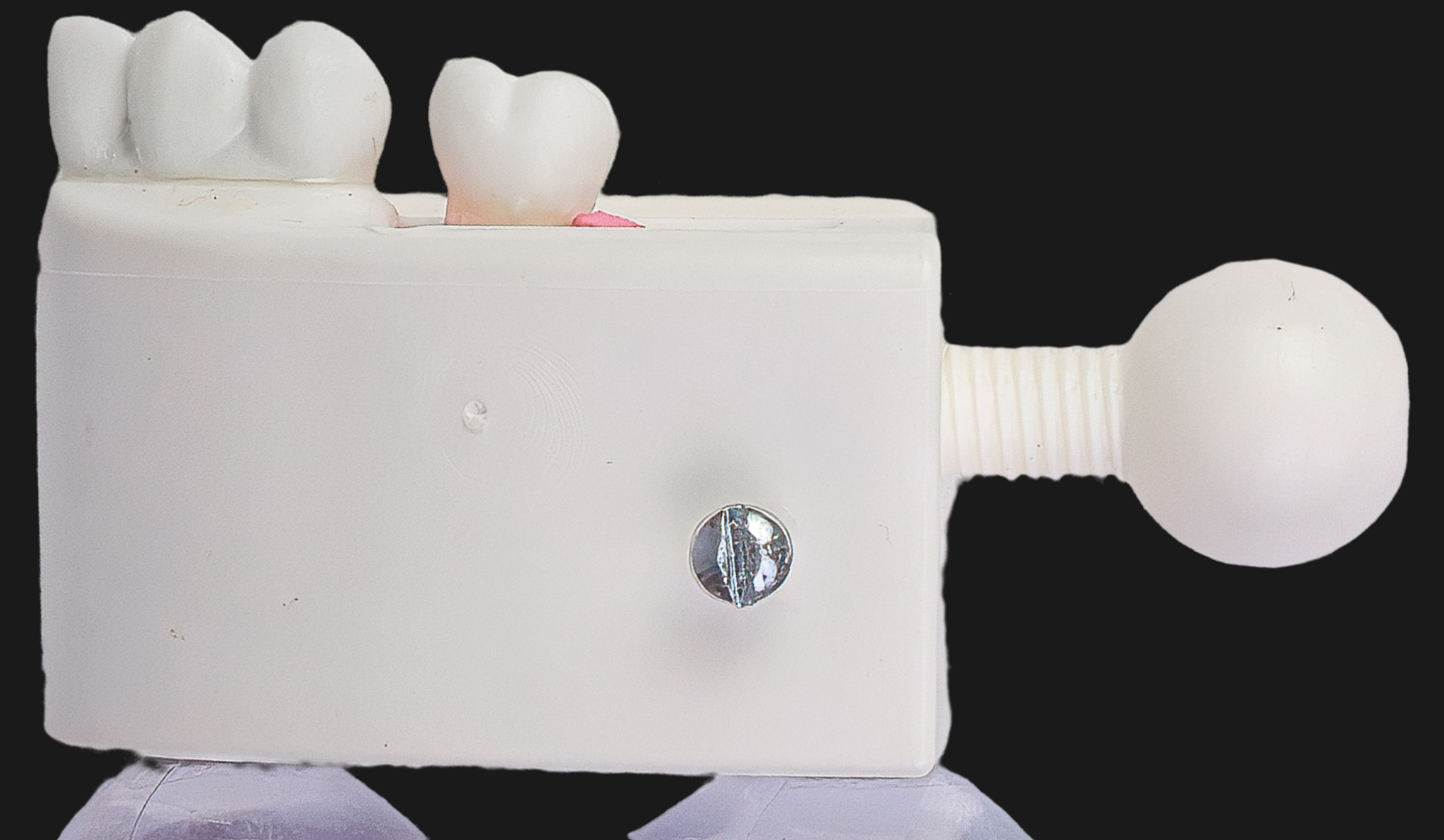 Endobase Orais com Dente Artificial montado, conectada ao localizador apical
