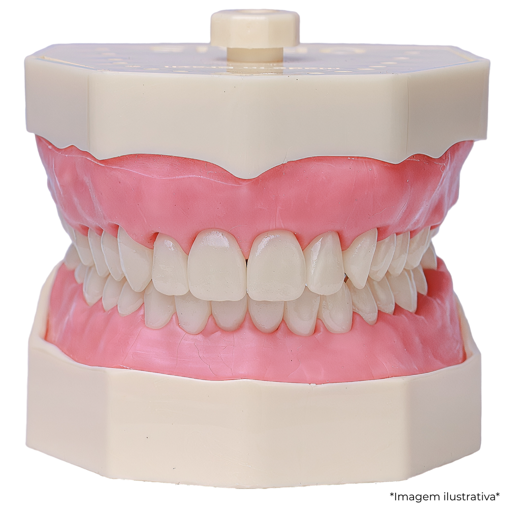 MNQ MTD DENTISTICA COM PREPAROS  (102)