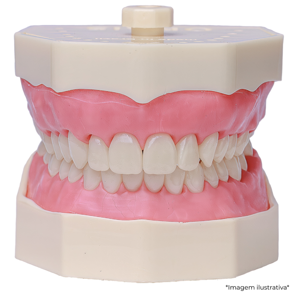 MNQ MTD DENTISTICA COM PREPAROS  (102)