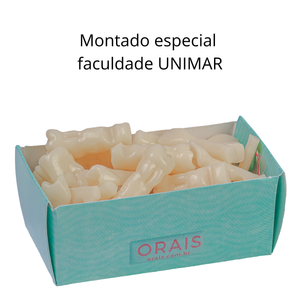 JOGO DE DENTES DENTISTICA – PROFA. FABIANE / ANSELMO