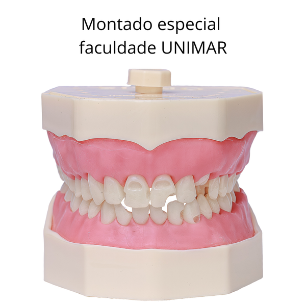 MANEQUIM MONTADO  – PROFA. ELIANE UNIMAR