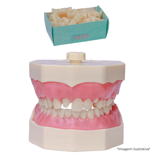 KIT MNQ 210 COM JOGO DE DENTES DENTISTICA (2102)