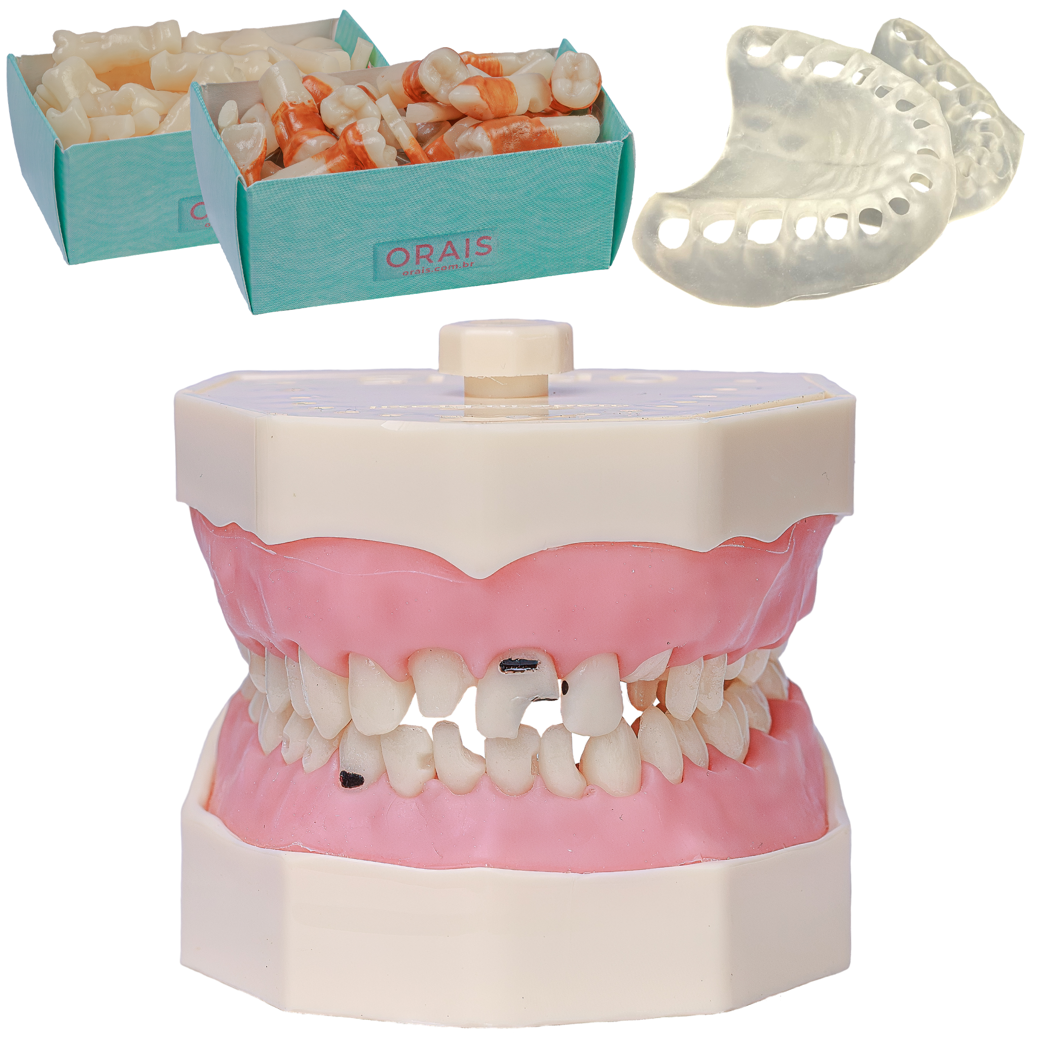 Kit Orais 2171 com Manequim 217 e itens complementares