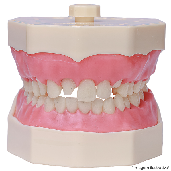 MNQ MATERIAIS DENTARIOS UNIMEP LINS (104)