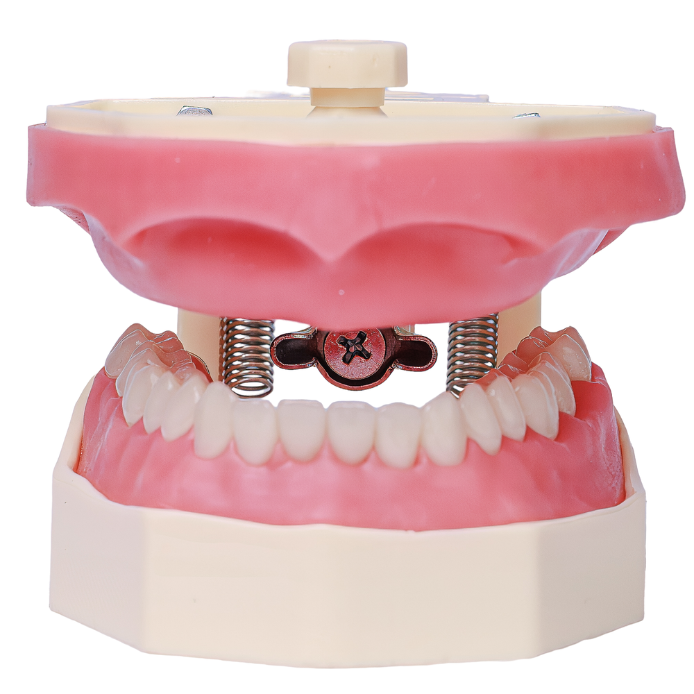 MNQ DENTISTICA INFERIOR + PRÓTESE TOTAL SUPERIOR (243)