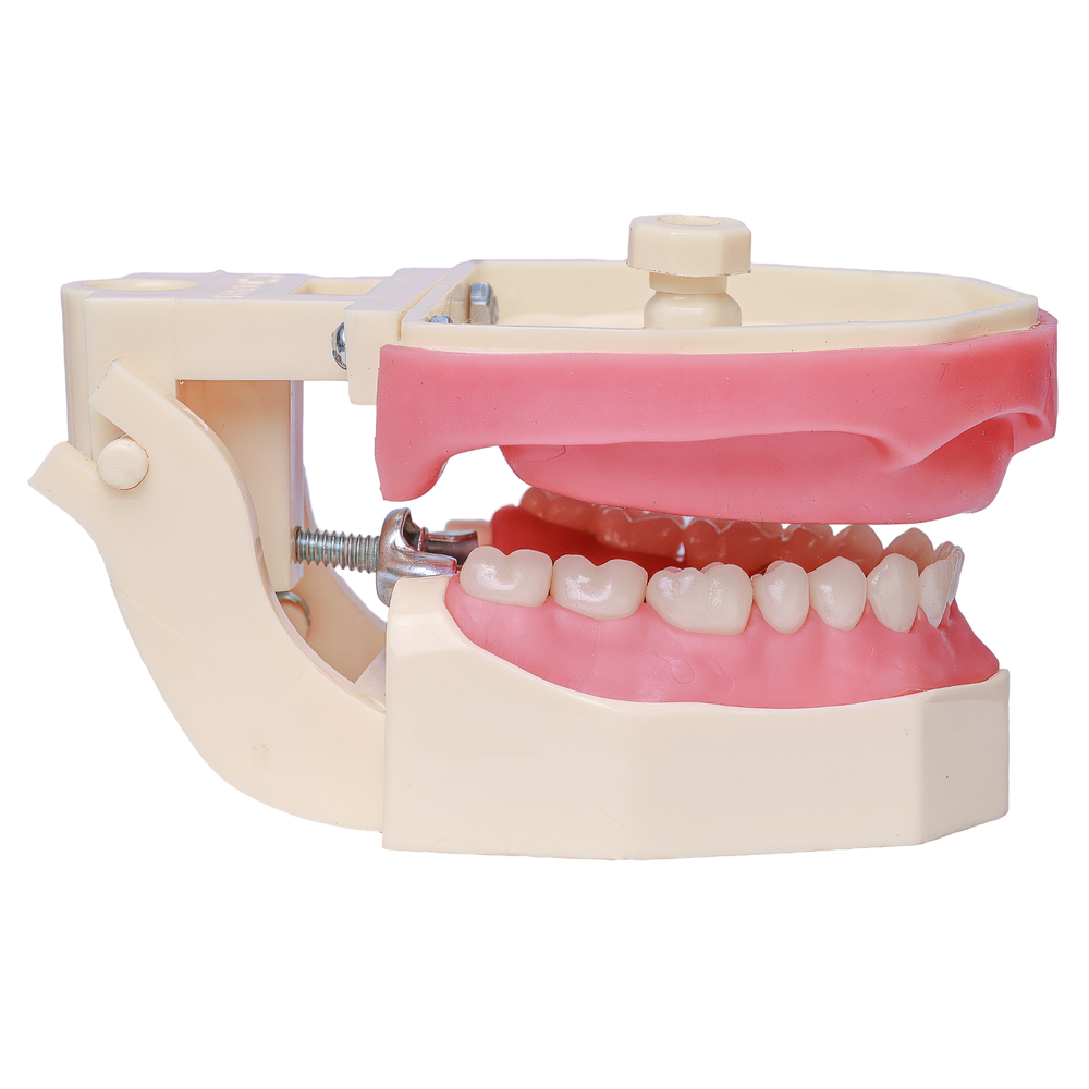 MNQ DENTISTICA INFERIOR + PRÓTESE TOTAL SUPERIOR (243)
