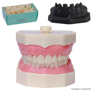 Kit Prótese Dentística IOA Brasília (25550)