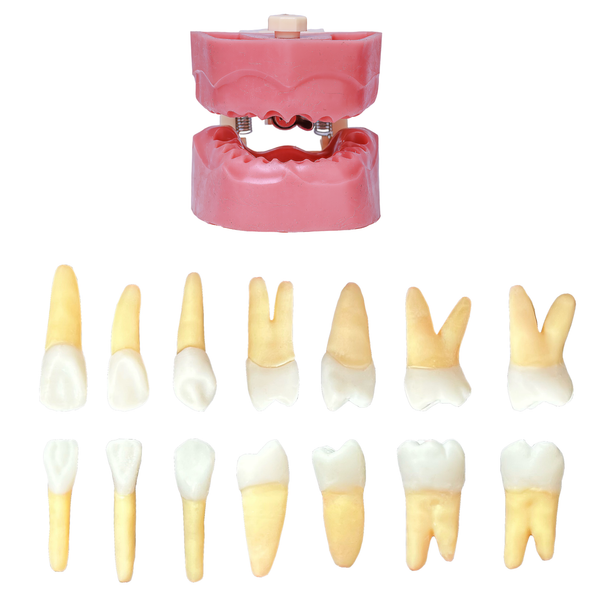 KIT ENDODONTIA FEE VALE (25596)
