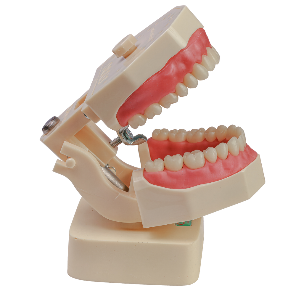 SUPORTE ERGONOMIC FLEX (3000)