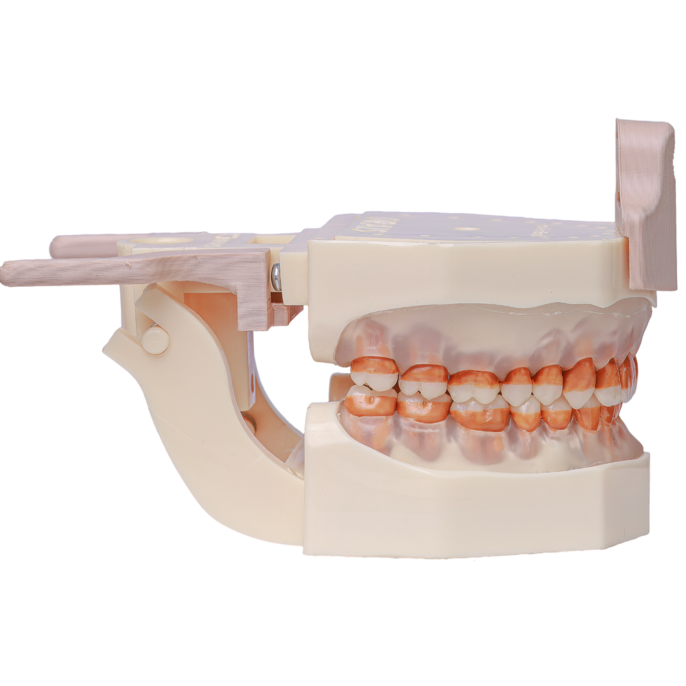MNQ DE PERIODONTIA PADRÃO COM DA (300DA)