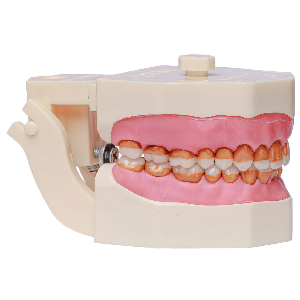 MNQ DE PERIO GENGIVA ROSA  (308)