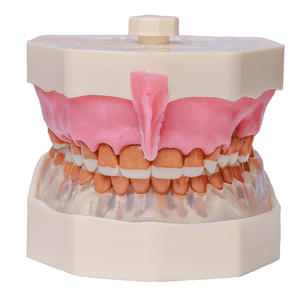MNQ DE PERIODONTIA FG COM FREIO (3095)