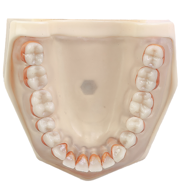 MNQ DE PERIODONTIA FG COM FREIO (3095)