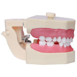 MNQ Cirurgia dentes antômicos - sup.309, inf.315 (323)