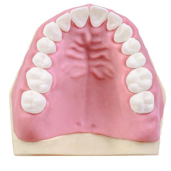MNQ Cirurgia dentes antômicos - sup.309, inf.315 (323)