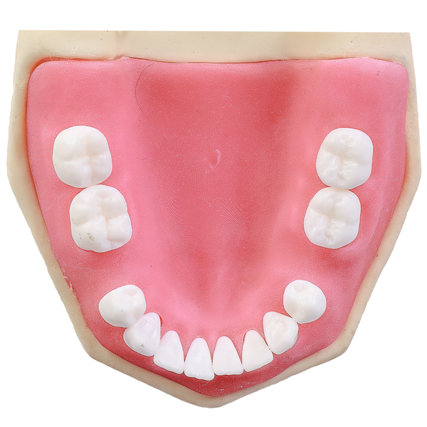 MNQ Cirurgia dentes antômicos - sup.309, inf.315 (323)