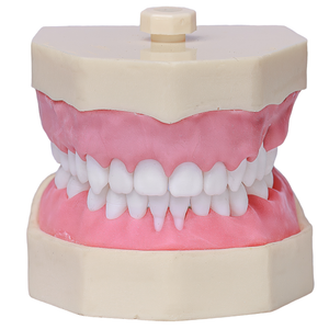 MNQ Cirurgia dentes antômicos - sup.309, inf.315 (323)