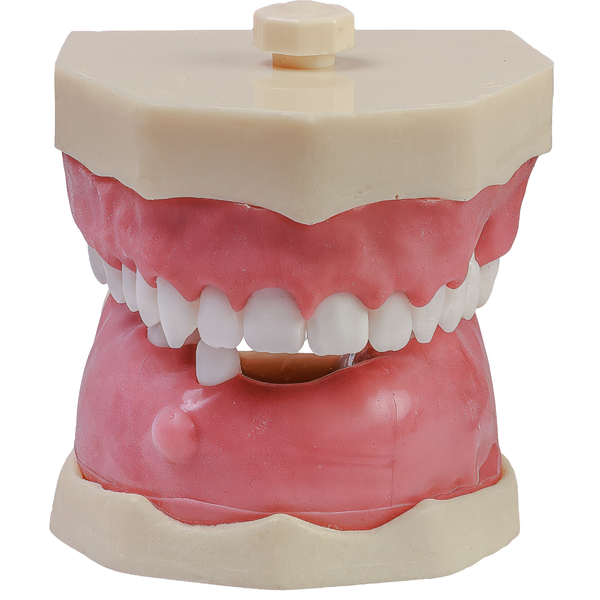 MNQ Cirurgia INF/dentes de raiz anatomica SUP (318)