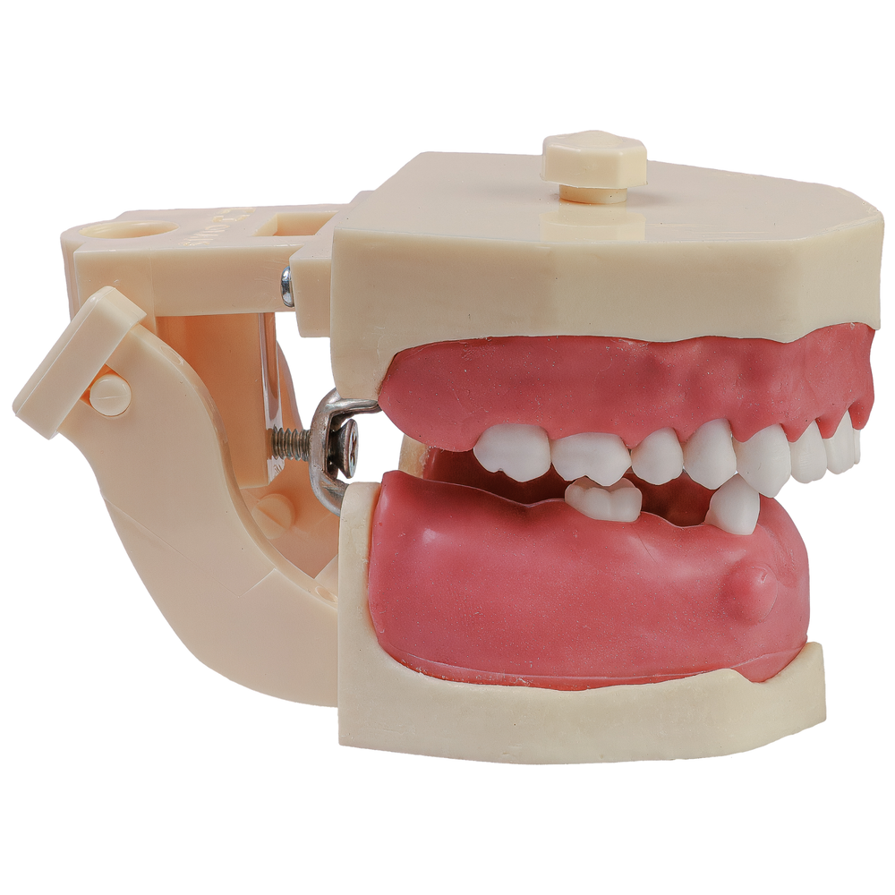 MNQ Cirurgia INF/dentes de raiz anatomica SUP (318)