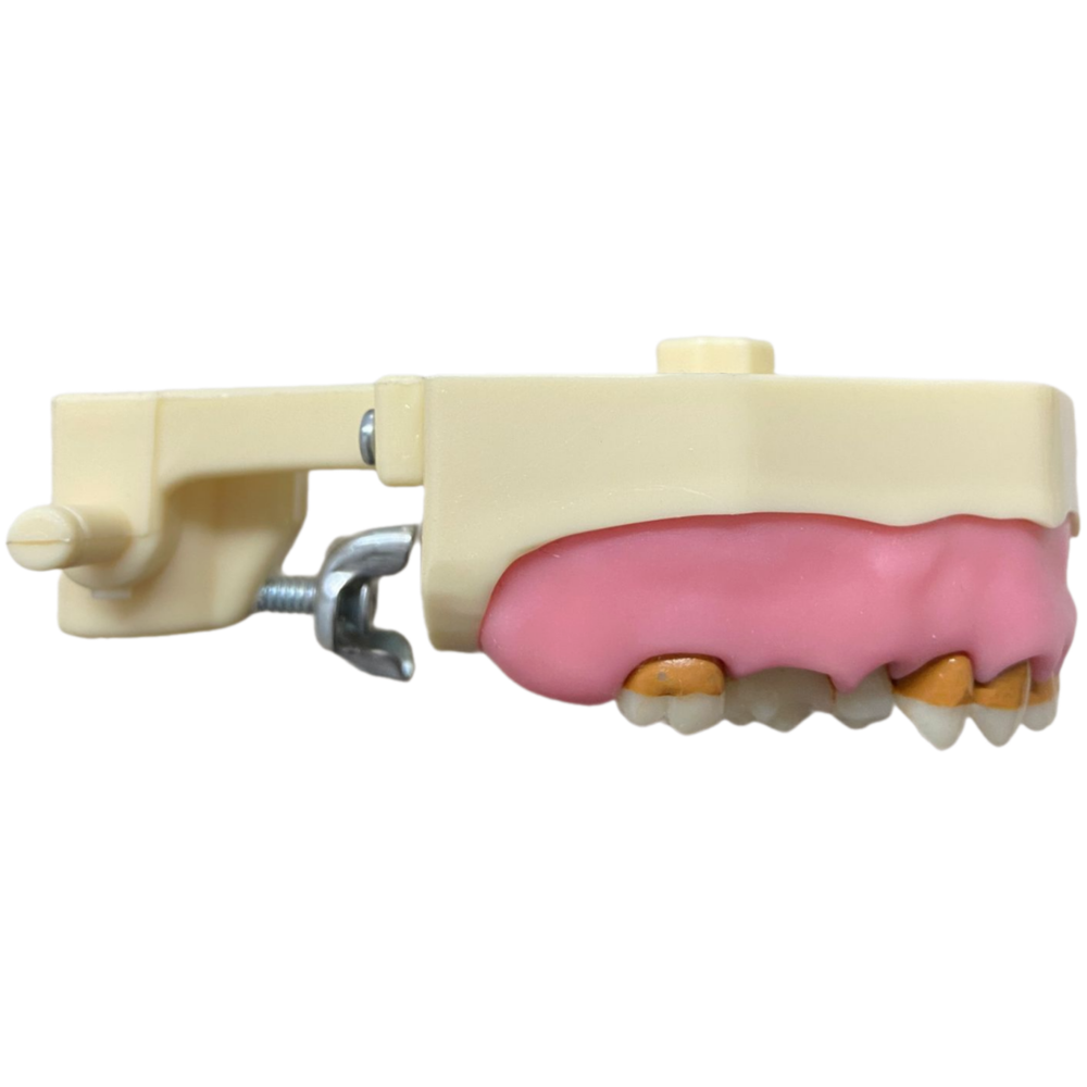 MNQ SUP C/ ART PERIO FG PALATO (399)