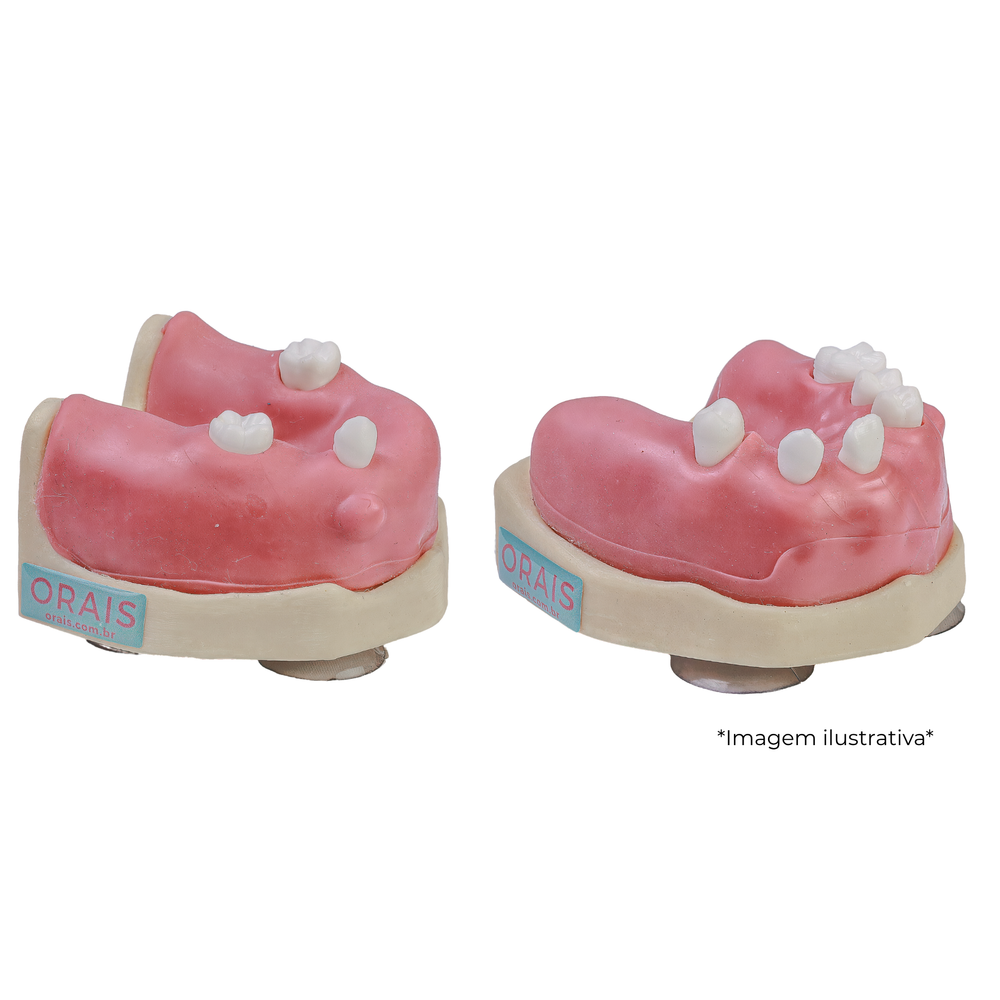 (KIT) MODELO P/ TREINAMENTO CIRURGICO (400U)