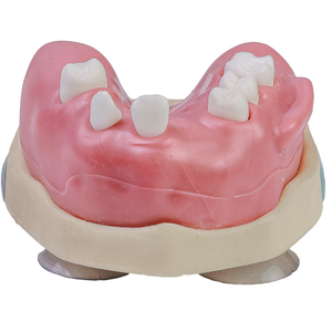 MNQ CIRURGIA- SUPERIOR/MAXILA (404)
