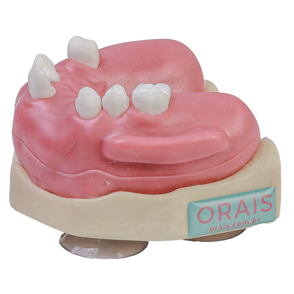 MNQ CIRURGIA- SUPERIOR/MAXILA (404)