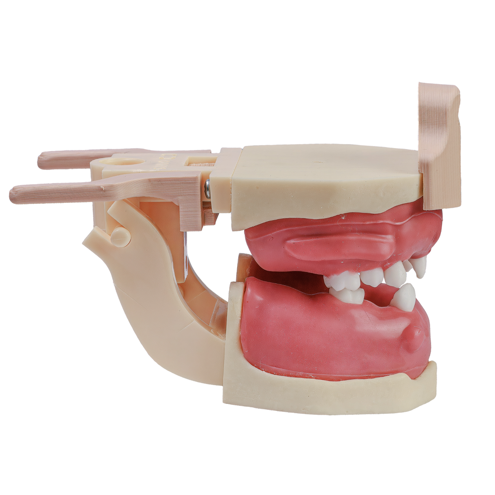 MNQ CIRURGIA ARTICULADO COM DA (405DA)