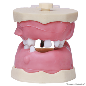 MNQ CIRURGIA ART DIRCEU (406)